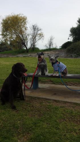 Lola, Baldric and Toupe